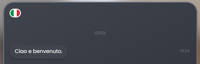 Selezione lingua interfaccia multilingua